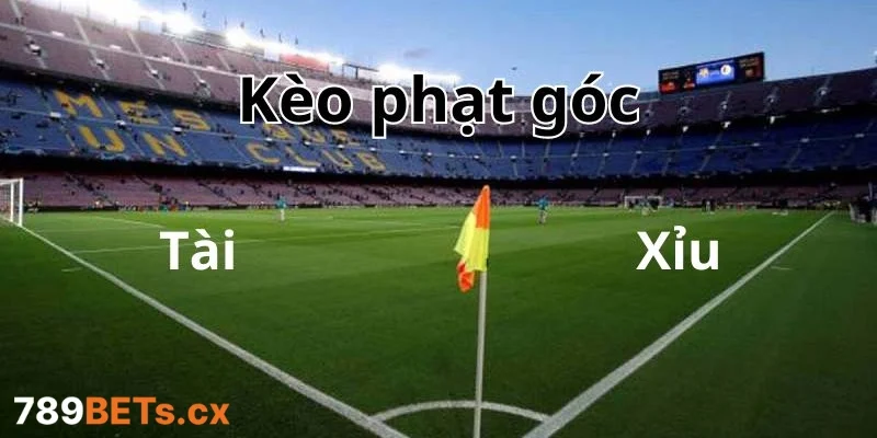 Phương pháp soi kèo phạt góc hiệu quả từ cao thủ 