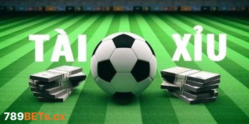 Tổng quan về cược tài xỉu - Cuộc chơi chiến thuật